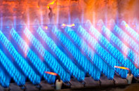 Swinside gas fired boilers